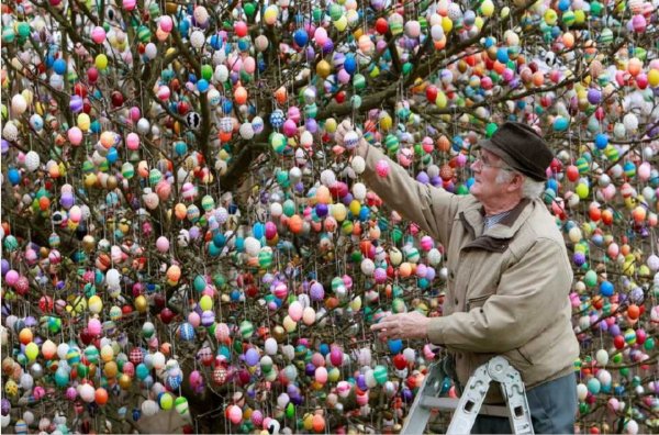 Католическая Пасха дерево с яйцами