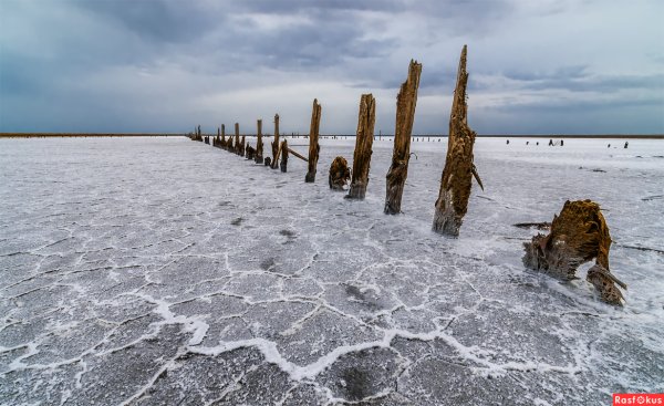 Эльтон соль