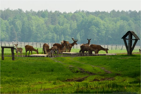 Национальный парк Припятский