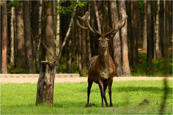 Национальный парк Припятский