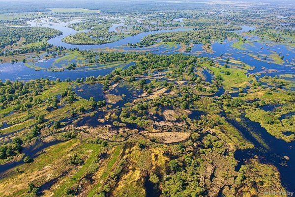 Национальный парк Припятский