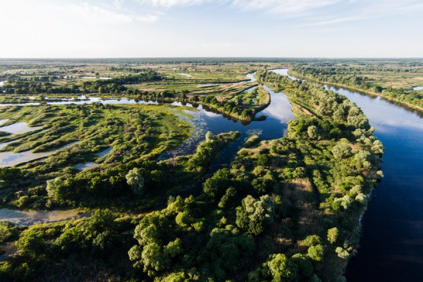 Национальный парк Припятский
