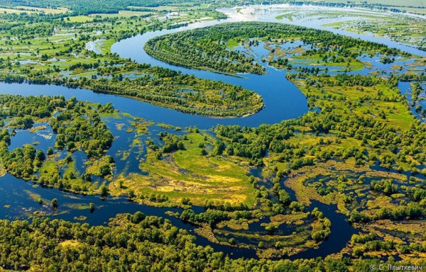 Парк Припятский Беларусь