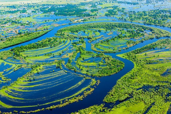 Белоруссия парк Припятский