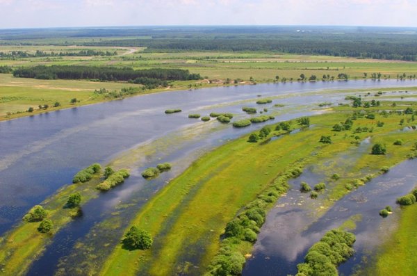 Парк Припятский Беларусь