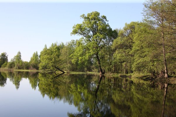 Национальный парк Припятский