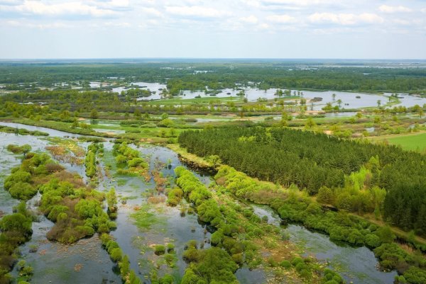 Нац парк Припятский
