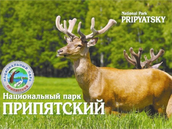 Парк Припятский детский