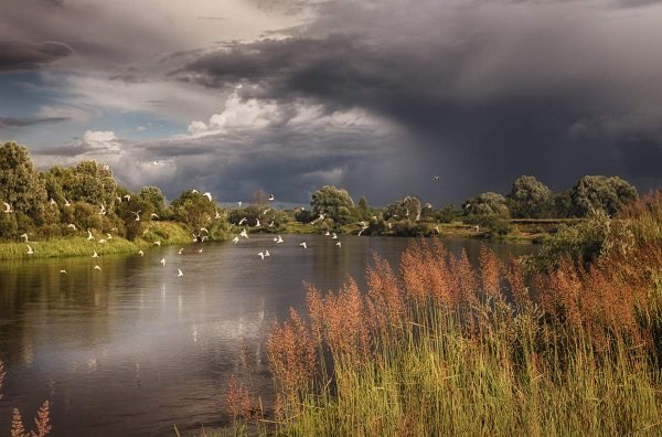 Парк Припятский Беларусь