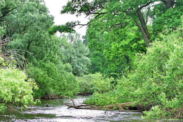 Национальный парк Припятский