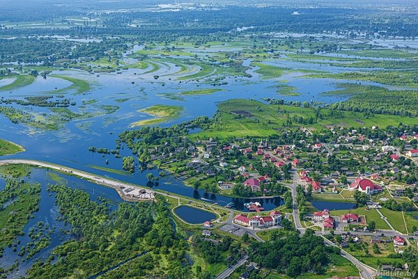 Гомель парк Припятский
