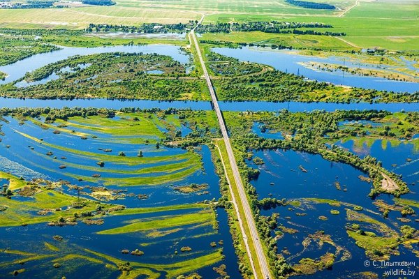 Река Припять