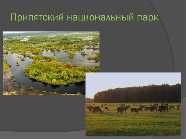 Национальный парк Белоруссии