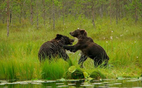 Нарочанский национальный парк
