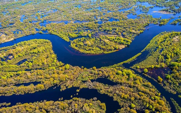 Национальный парк Припятский