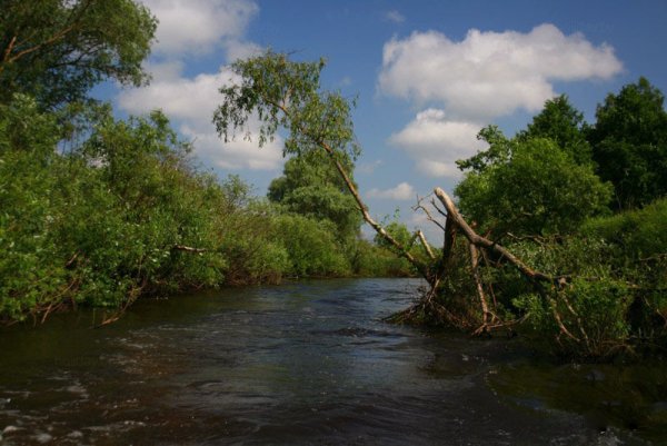 Нац парк Припятский
