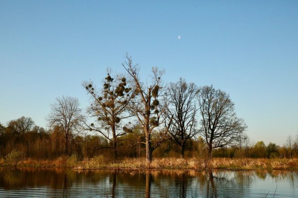 Парк Припять Беларусь