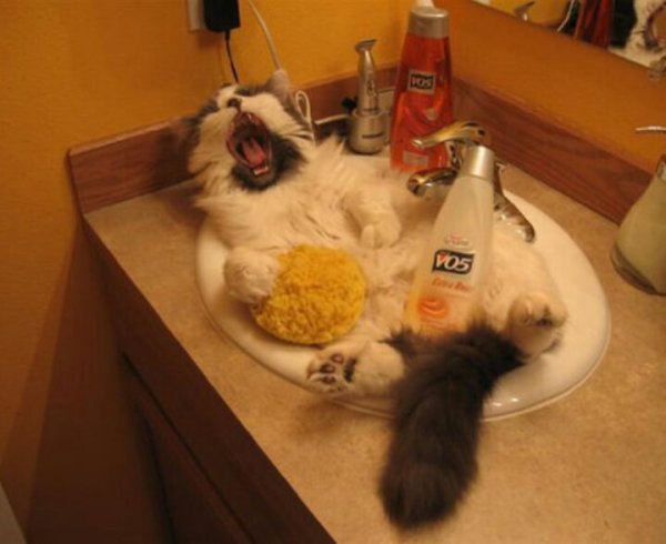 Поддай парку