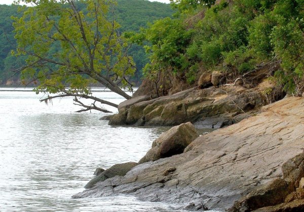 Озеро ханка Приморский