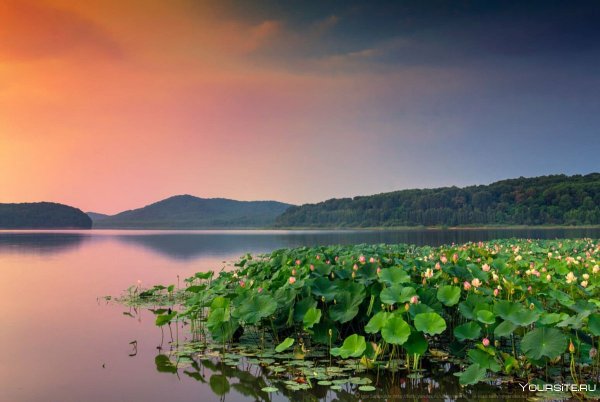 Кронштадтка Приморский край озеро