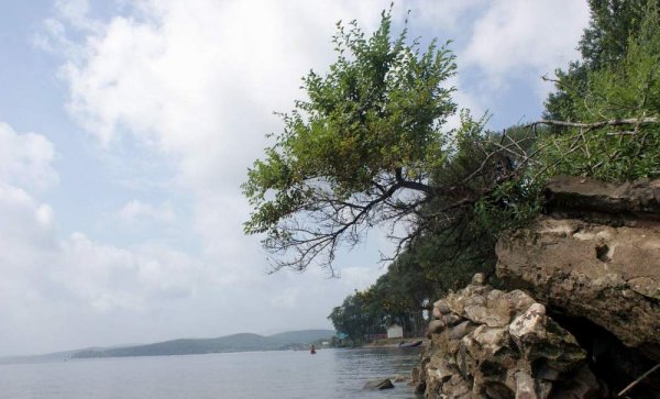 Озеро ханка Приморский край