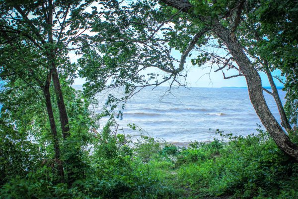 Озеро ханка Приморье