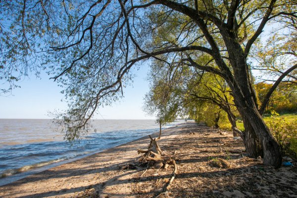 Озеро ханка Приморский край