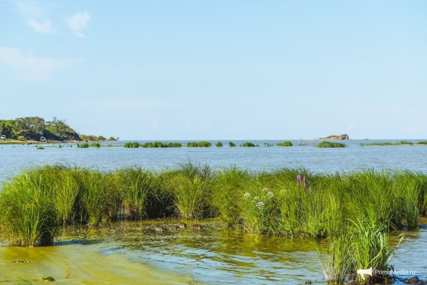 Озеро ханка