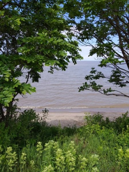 Озеро ханка Дальний Восток