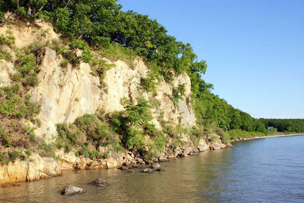 Ханкайский заповедник Приморский край