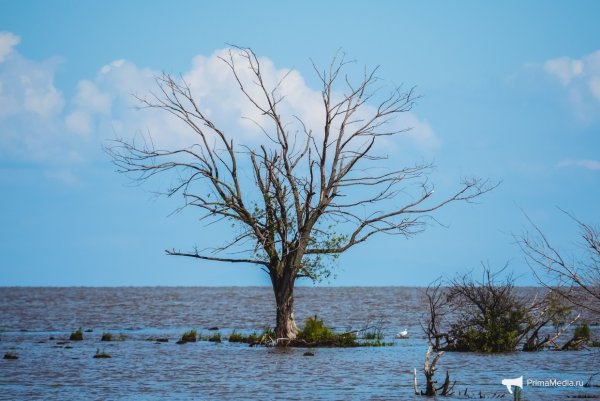 Озеро ханка