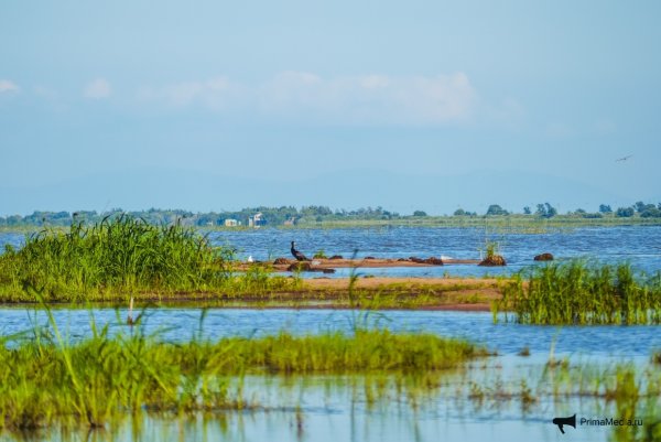 Озеро ханка