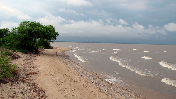 Оз. Ханка Приморский край