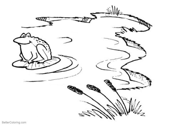 Озеро раскраска