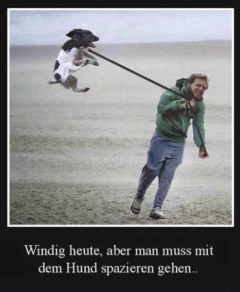 Немного ветренно картинки