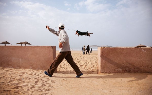 Ветренно прикол