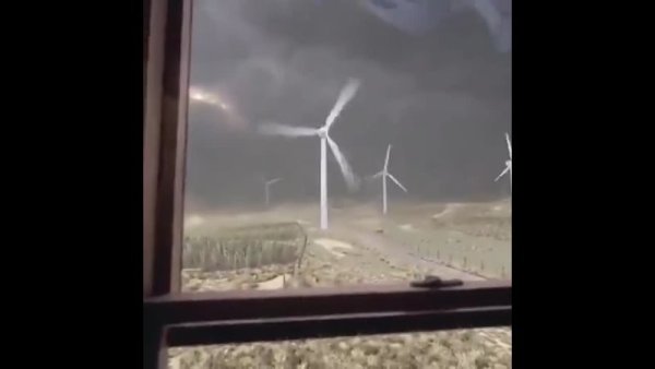 Сегодня немного ветрено