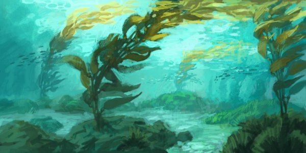 Сказочные водоросли