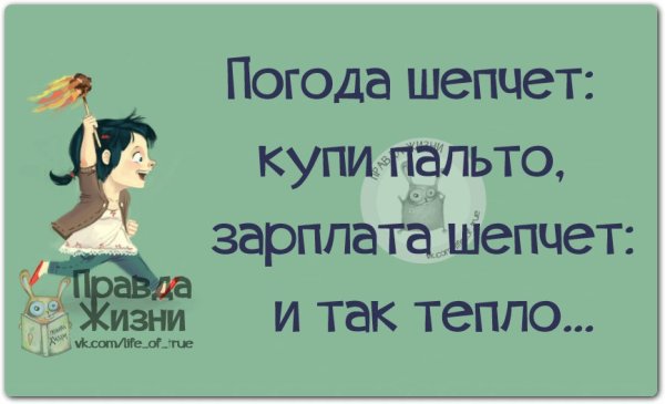 Цитаты про зарплату