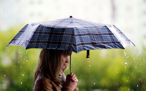 Зонт под дождем