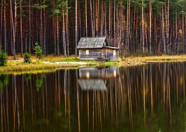 Боровецкий лес дом отшельника