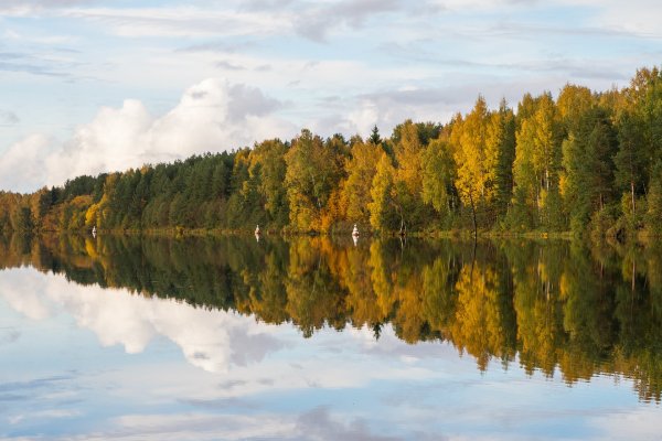 Лесная река Вологодская область