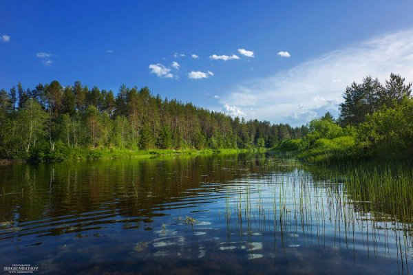 Река Вага Вологодская область