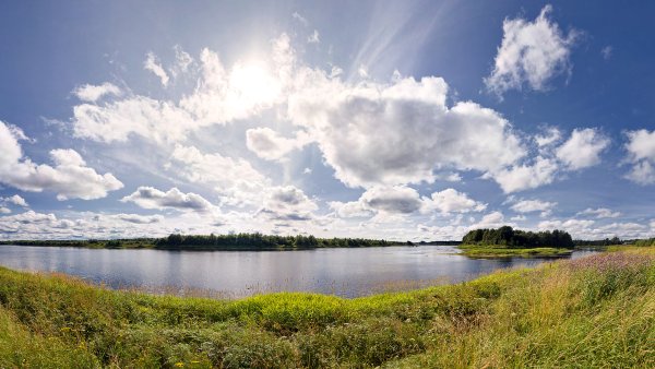Озеро в Вологодской области 4
