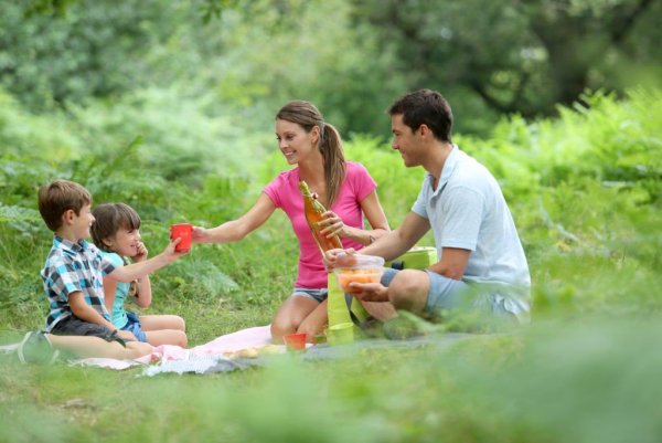 Семья на пикнике