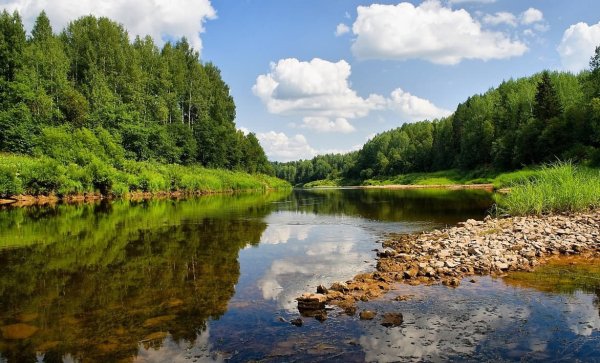Река Юг Вологодская область