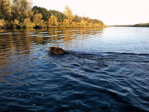 Вологда (река) реки Вологодской области
