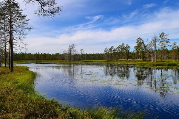Лесные озера Вологодской области