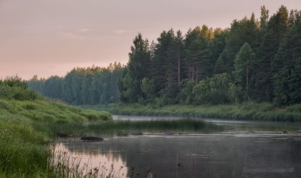 Река Чагодоща Вологодской области