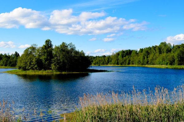 Содошное озеро Вологодская область